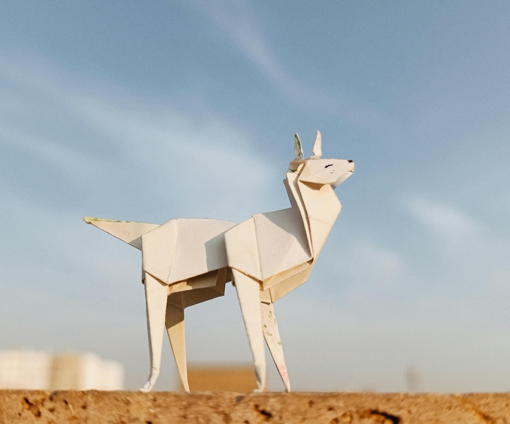 Origami — an entry submitted to a STU league, rated 9.1 out of 10
