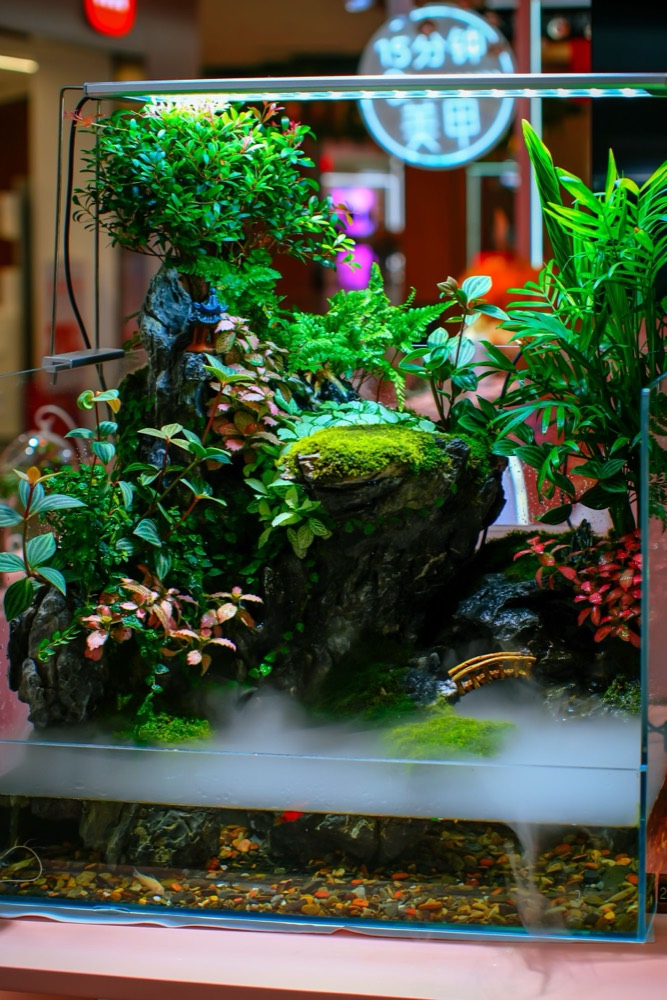 Terrarium — an entry submitted to a STU league, rated 9.0 out of 10
